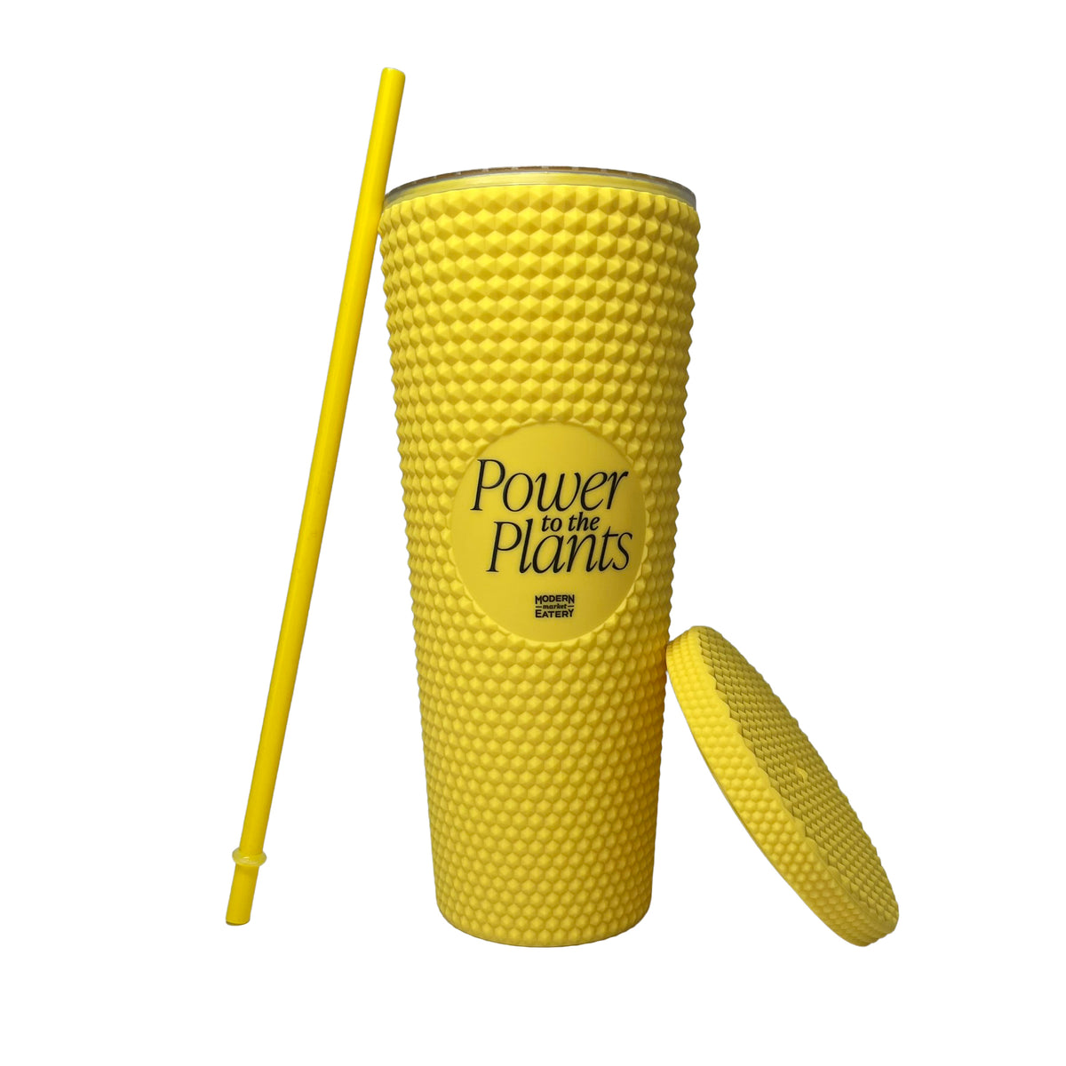 Modern Market Studded Tumbler w/ Straw